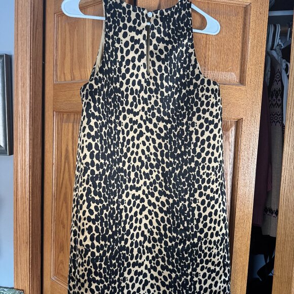 Future Collective Dresses & Skirts - Leopard A line sexy mini. Flatteing and forgiving hang on body.